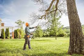  Hoopers Creek, NC Tree Removal Pros
